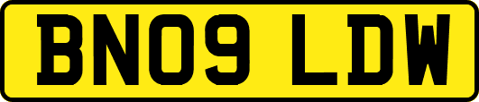 BN09LDW
