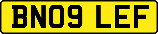 BN09LEF