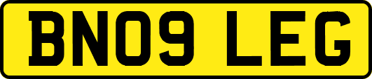BN09LEG