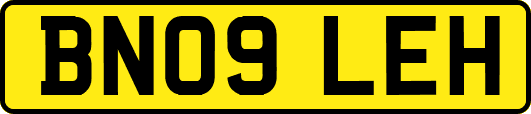 BN09LEH