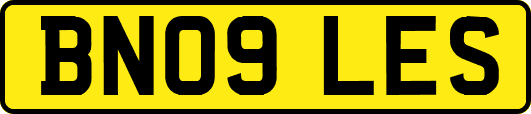 BN09LES