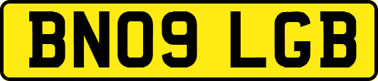 BN09LGB