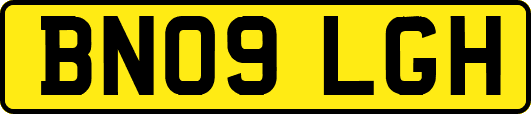 BN09LGH