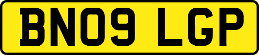 BN09LGP