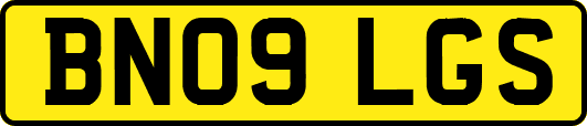 BN09LGS