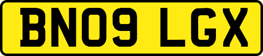 BN09LGX