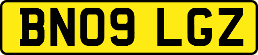 BN09LGZ