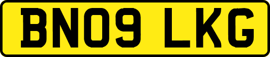 BN09LKG