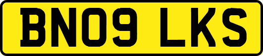 BN09LKS
