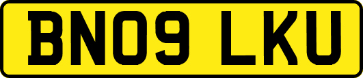 BN09LKU