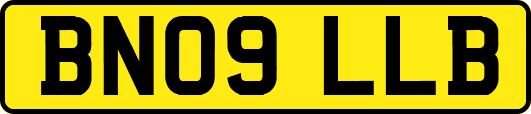 BN09LLB