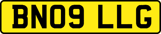 BN09LLG