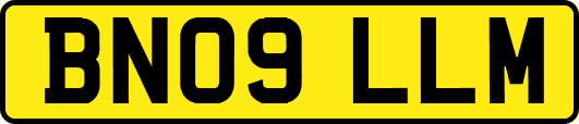 BN09LLM