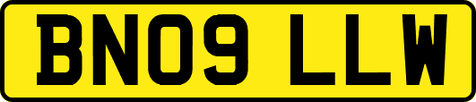BN09LLW