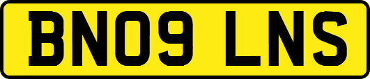 BN09LNS