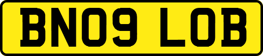 BN09LOB