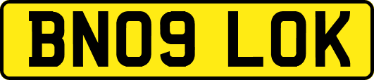 BN09LOK
