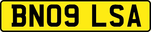 BN09LSA