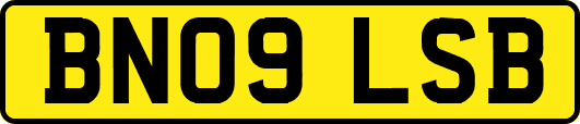 BN09LSB