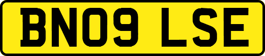 BN09LSE