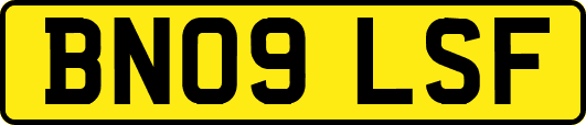 BN09LSF