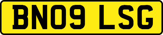 BN09LSG
