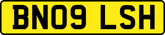 BN09LSH
