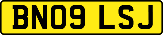 BN09LSJ