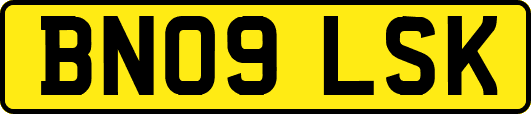 BN09LSK