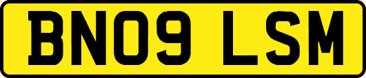BN09LSM