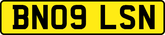 BN09LSN