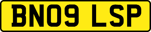BN09LSP