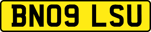 BN09LSU