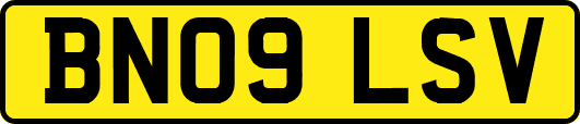 BN09LSV