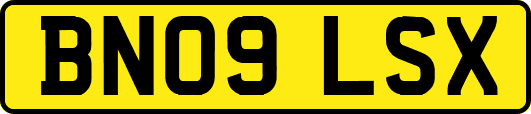 BN09LSX