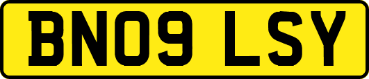 BN09LSY