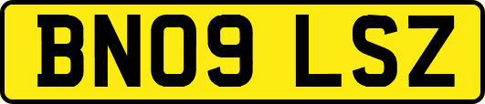 BN09LSZ