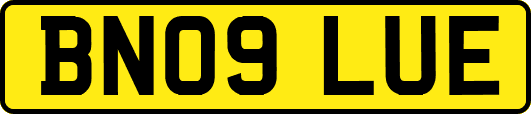 BN09LUE