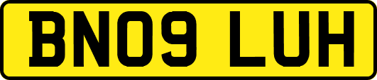 BN09LUH
