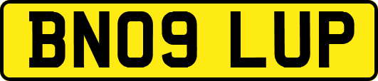 BN09LUP