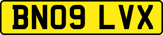 BN09LVX