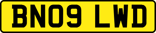 BN09LWD