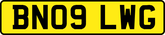 BN09LWG