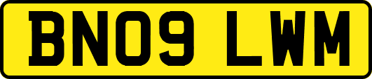 BN09LWM