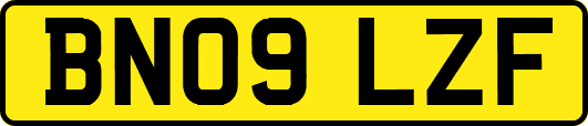 BN09LZF
