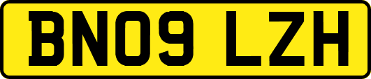 BN09LZH