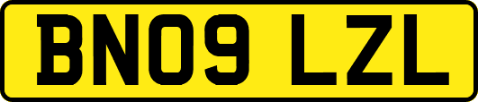 BN09LZL