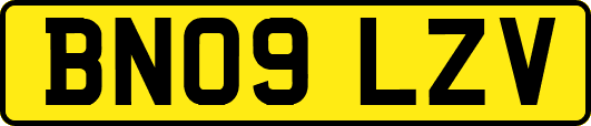 BN09LZV