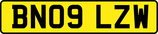 BN09LZW