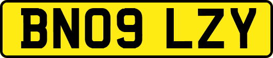 BN09LZY